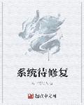 修复系统服务