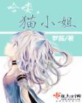 哈喽小姐韩剧