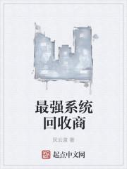 最强回收系统等级介绍