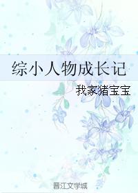 综小人物成长记tXt