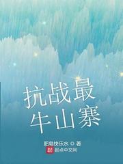 抗战最牛山寨txt啃书