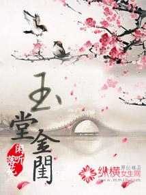 玉堂金闺讲的什么内容