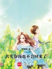 你不会再回来是什么歌