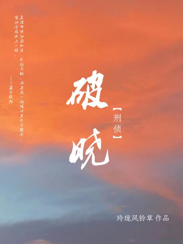 刑侦破案电视剧