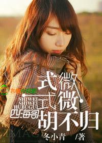 式微式微胡不归的情感
