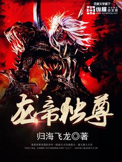 有一部叫什么龙帝