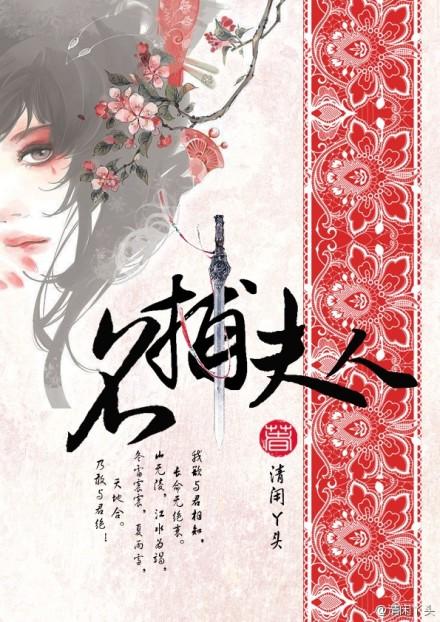 名捕夫人第几章圆房