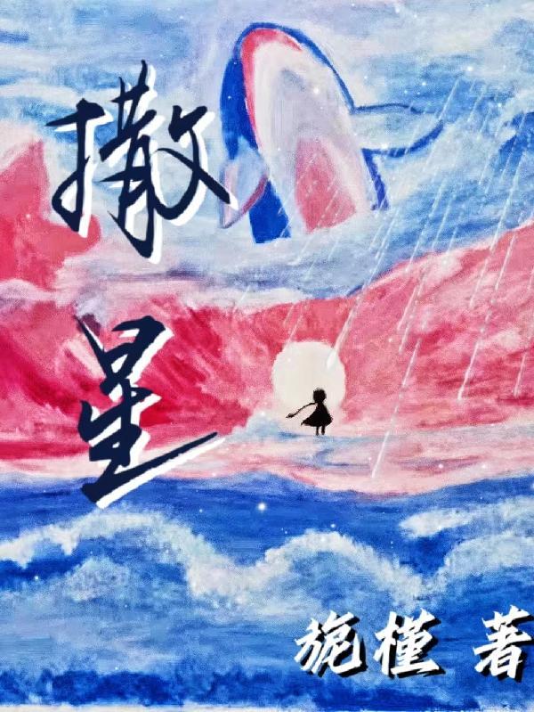 撒星星的夜阅读理解