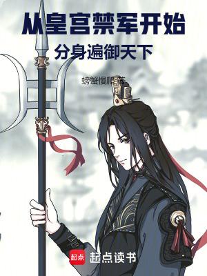 从皇宫禁军开始分身遍御天下无防盗