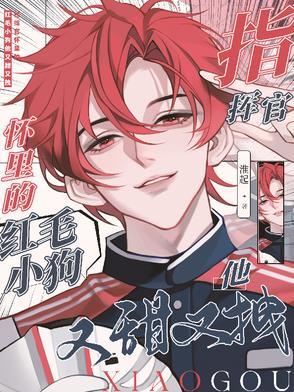 指挥官的小可爱