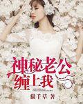 神秘老公缠上我免费阅读无广告