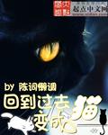 回到过去变成猫同人