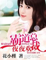 霸道总裁夜夜欢爱