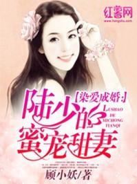 陆少的蜜宠甜妻在线阅读