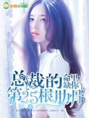 命里缺你:总裁的第25根肋骨
